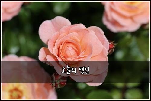 오늘의 명언
