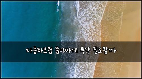 μλ차보ν μ’λμΈκ² νΉμ½ νμν κΉ