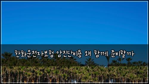 한화운전자보험 암진단비용 왜 함께 준비할까