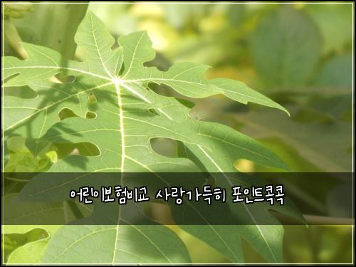 ์ด๋ฆฐ์ด๋ณดํ๋น๊ต ์ฌ๋๊ฐ๋ํ ํฌ์ธํธ์ฝ์ฝ