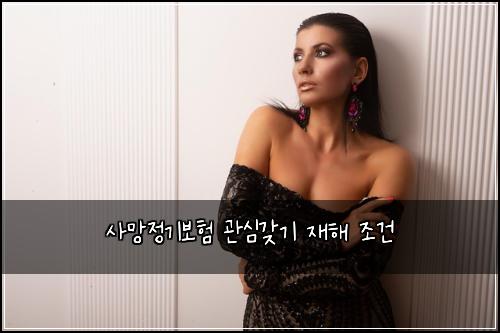 사망정기보험 관심갖기  재해 조건