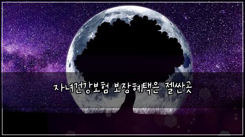 자녀건강보험 보장혜택은  젤싼곳