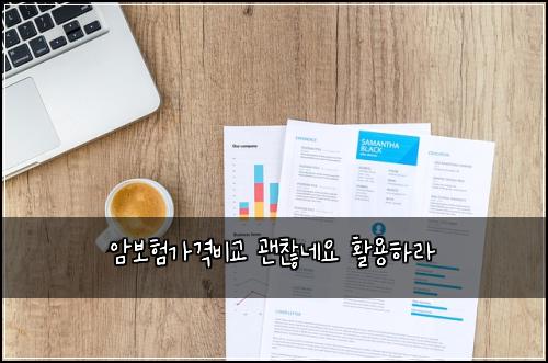 암보험가격비교 괜찮네요 활용하라