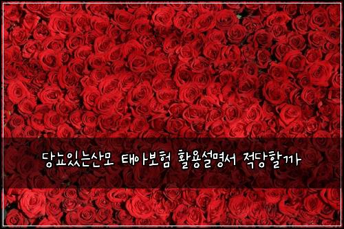 당뇨있는산모 태아보험 활용설명서  적당할까