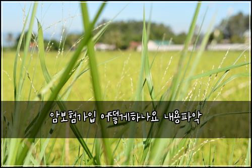 ์๋ณดํ๊ฐ์
์ด๋ป๊ฒํ๋์ ๋ด์ฉํ์