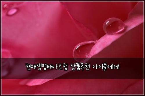 현대생명태아보험 상품추천  아이들에게