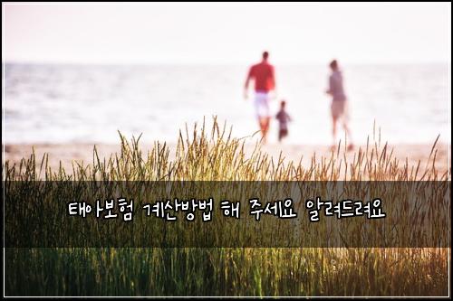 ํ์๋ณดํ ๊ณ์ฐ๋ฐฉ๋ฒ ํด ์ฃผ์ธ์ ์๋ ค๋๋ ค์