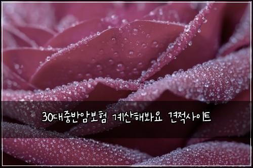 30λμ€λ°μ보ν κ³μ°ν΄λ΄μ 견μ μ¬μ΄νΈ