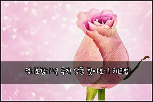 ์ ๊ธฐ๋ณดํ๊ฐ๊ฒฉ ์ถ์ฒ ์ํ ์ฐพ์๋ณด๊ธฐ ์ฒดํฌ๋ฒ