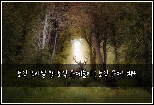 토익 모바일 앱 토익 문제풀이 : 토익 문제 #14