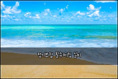 ์ ๊ธฐ๋ณดํ ํ์์ฒดํน ์ค๋น