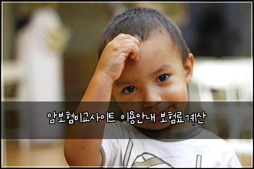 ์๋ณดํ๋น๊ต์ฌ์ดํธ ์ด์ฉ์๋ด ๋ณดํ๋ฃ๊ณ์ฐ