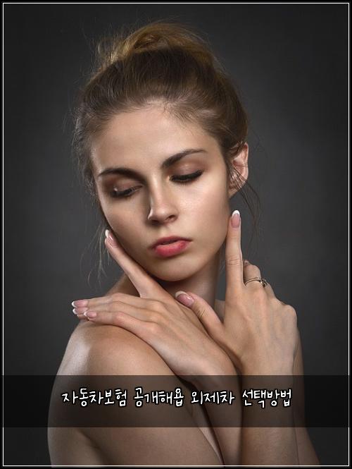 ์๋์ฐจ๋ณดํ ๊ณต๊ฐํด์ฅ ์ธ์ ์ฐจ ์ ํ๋ฐฉ๋ฒ