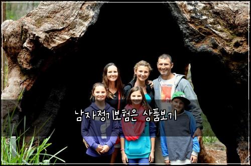 남자정기보험은 상품보기