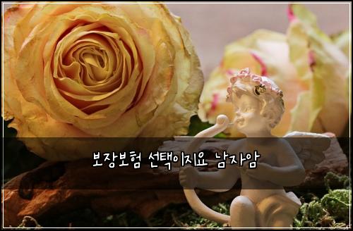 보μ₯보ν μ νμ΄μ§μ λ¨μμ