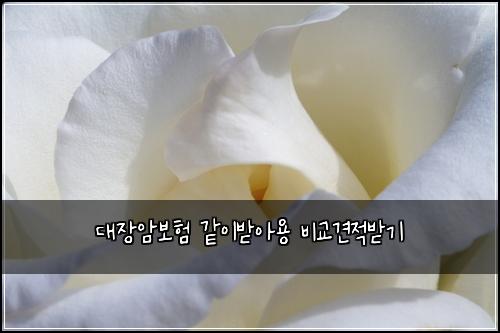 대장암보험 같이받아용  비교견적받기