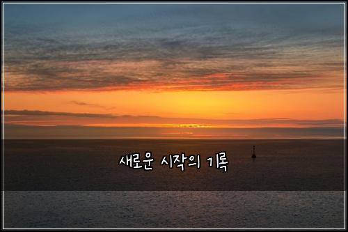 새로운 시작의 기록