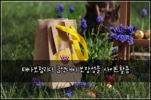 태아보험리더 금액대비 보장성을 사이트활용