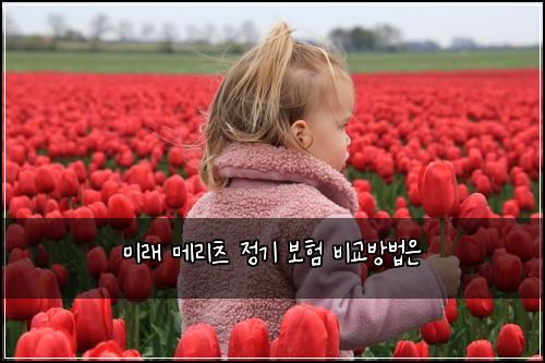 미래 메리츠 정기 보험 비교방법은 