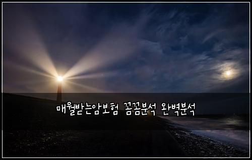 ๋งค์๋ฐ๋์๋ณดํ ๊ผผ๊ผผ๋ถ์ ์๋ฒฝ๋ถ์
