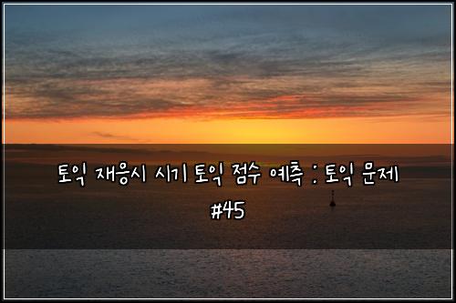 토익 재응시 시기 토익 점수 예측 : 토익 문제 #45