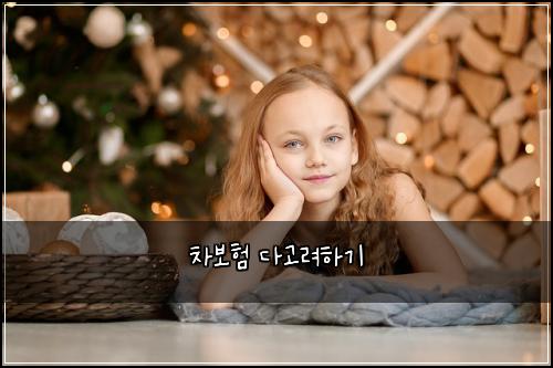 차보험 다고려하기 
