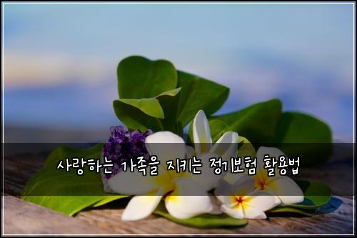 사랑하는 가족을 지키는 정기보험 활용법
