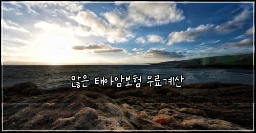 ๋ง์ ํ์์๋ณดํ ๋ฌด๋ฃ๊ณ์ฐ