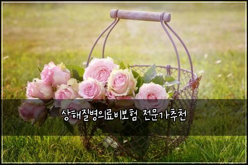 ์ํด์ง๋ณ์๋ฃ๋น๋ณดํ ์ ๋ฌธ๊ฐ์ถ์ฒ