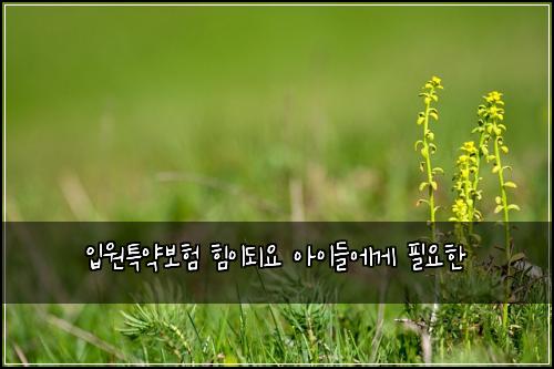 입원특약보험 힘이되요  아이들에게 필요한