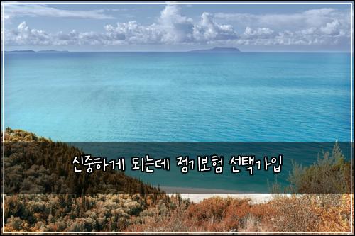 ์ ์คํ๊ฒ ๋๋๋ฐ ์ ๊ธฐ๋ณดํ ์ ํ๊ฐ์