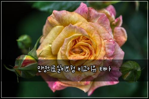 ๋ฏผ์์๋ฃ์ค๋น๋ณดํ ๋น๊ต์ด์ ํ์