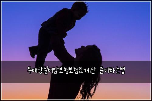 무배당실버암보험보험료계산 준비하는법
