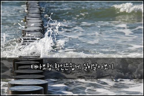 νμ보ν νμΈμμ½κ² μ€λΉμμ보기