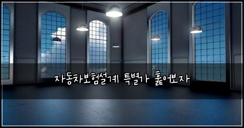 ์๋์ฐจ๋ณดํ์ค๊ณ ํน๋ณ๊ฐ ํ์ด๋ณด์