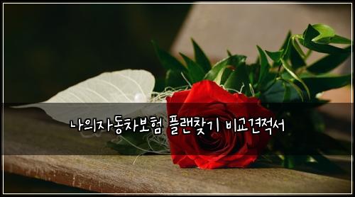 ๋์์๋์ฐจ๋ณดํ ํ๋์ฐพ๊ธฐ ๋น๊ต๊ฒฌ์ ์