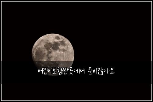 어린이보험싼곳에서 준비잖아요