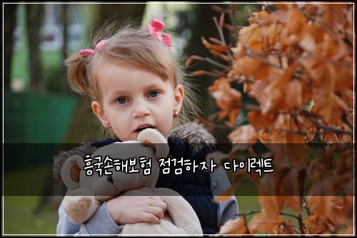 흥국손해보험 점검하자  다이렉트
