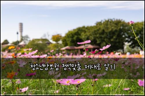 ์ฒญ์๋
์๋ณดํ ์ ์๋ง์ถค ์ ๋๋ก ์๊ธฐ