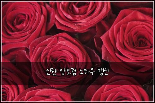 ์ ํ ์๋ณดํ ๋
ธํ์ฐ ๊ฐฑ์
