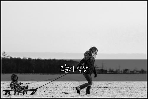 오늘의 색상