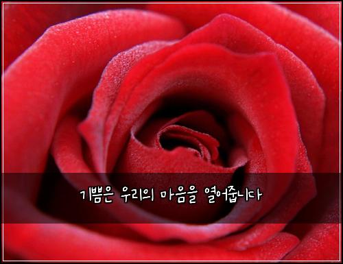 ๊ธฐ์จ์ ์ฐ๋ฆฌ์ ๋ง์์ ์ด์ด์ค๋๋ค