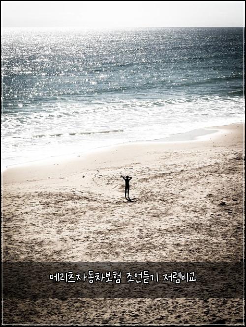 메리츠자동차보험 조언듣기  저렴비교