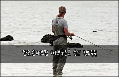 ํํ์ํด๋ณดํ ํํ์ข์๊ณณ ์ข
์ ์ ๋ณดํกํก
