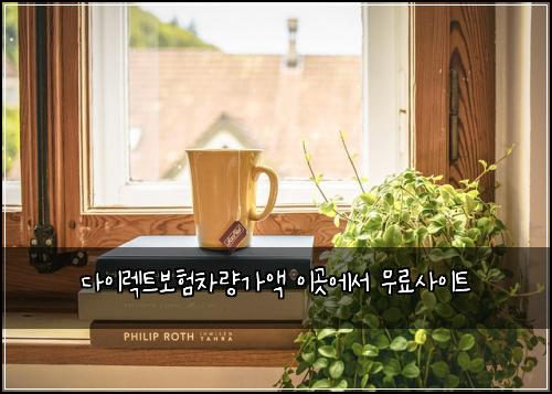 다이렉트보험차량가액 이곳에서 무료사이트