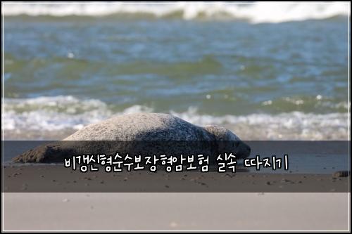 비갱신형순수보장형암보험 실속 따지기