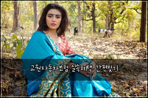 교원자동차보험 실속혜택  간편찾기