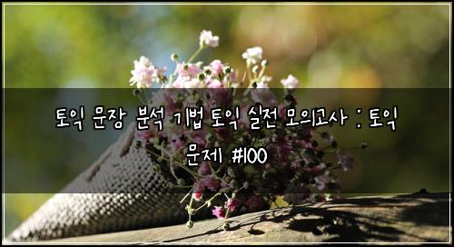 토익 문장 분석 기법 토익 실전 모의고사 : 토익 문제 #100