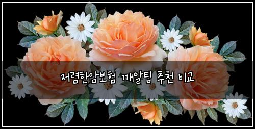 ์ ๋ ดํ์๋ณดํ ๊นจ์ํ ์ถ์ฒ ๋น๊ต