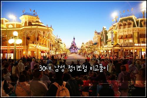 30대 남성 정기보험 비교풀이 